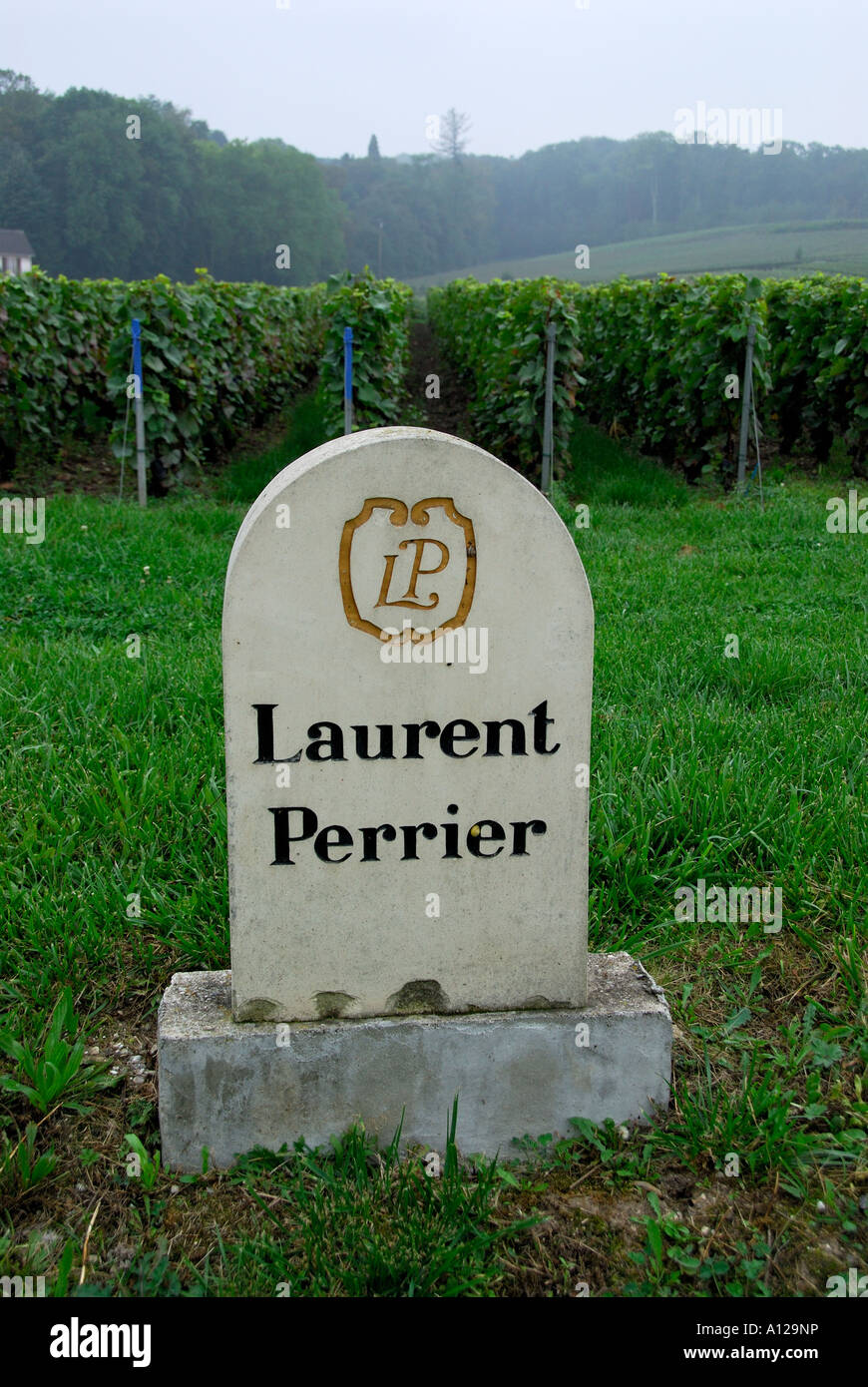 "Zeichen Sie für ein"Laurent Perrier"Weinberg, 'Villers Allerand',"Champagne Ardennes", Frankreich" Stockfoto