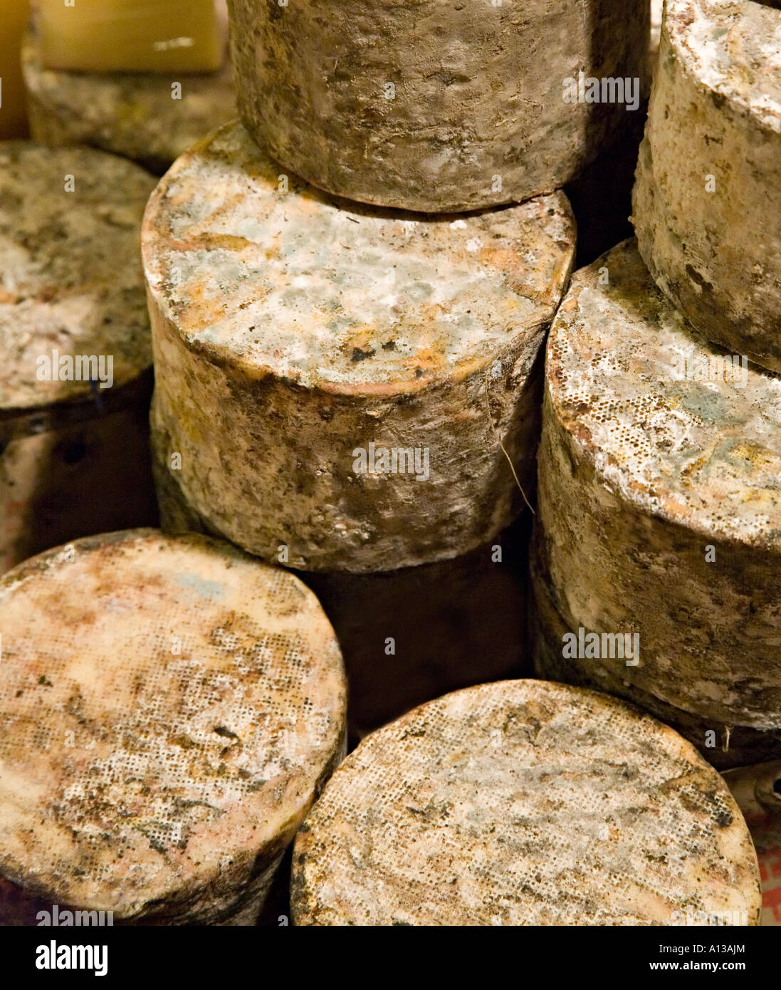 Höhle im Alter von gereiftem Käse aus Somerset in Tuch gewickelt, damit England UK atmen können Stockfoto