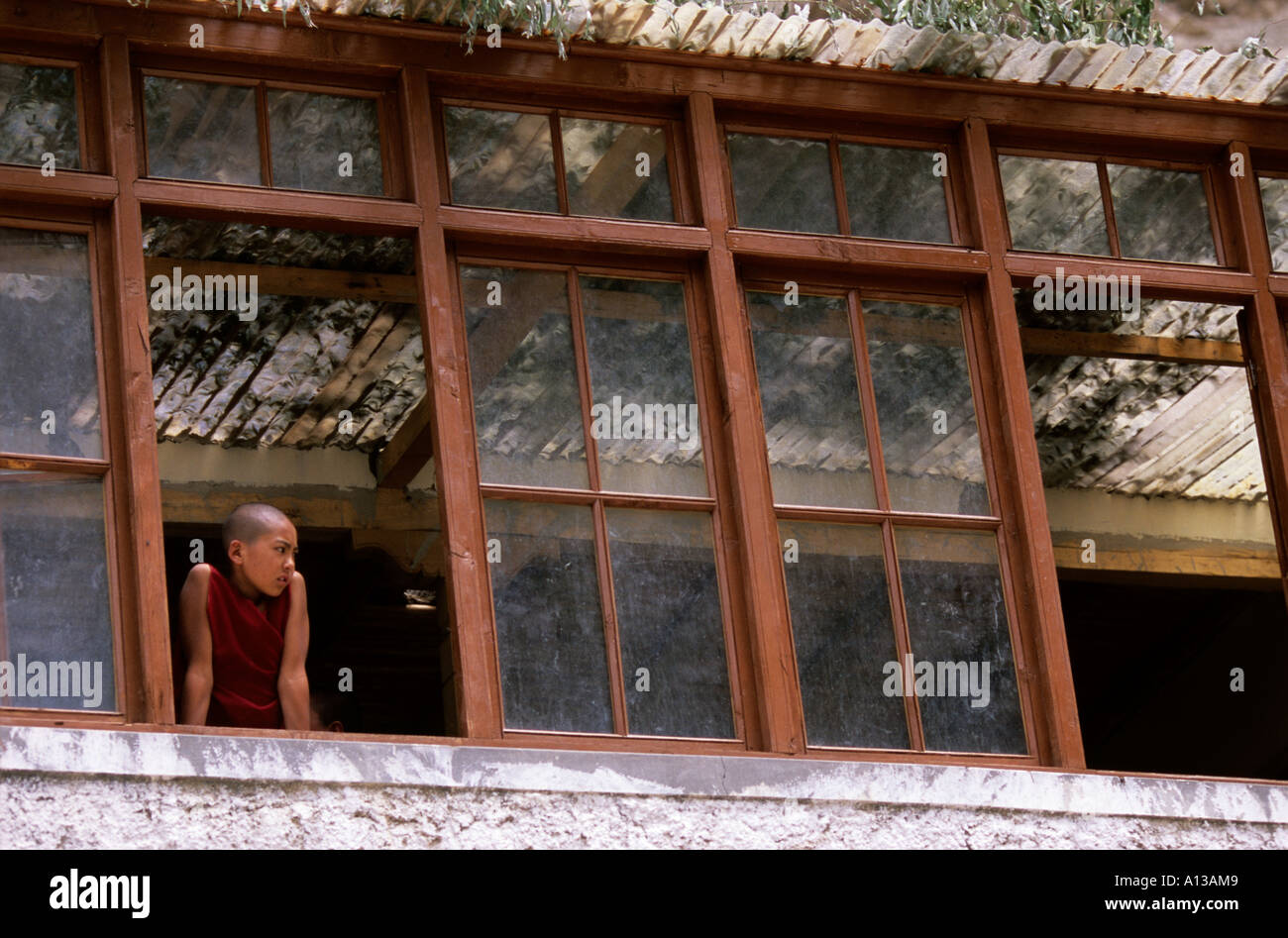 Junge Nonne in Julichen Nonnenkloster, Ladakh, Indien Stockfoto