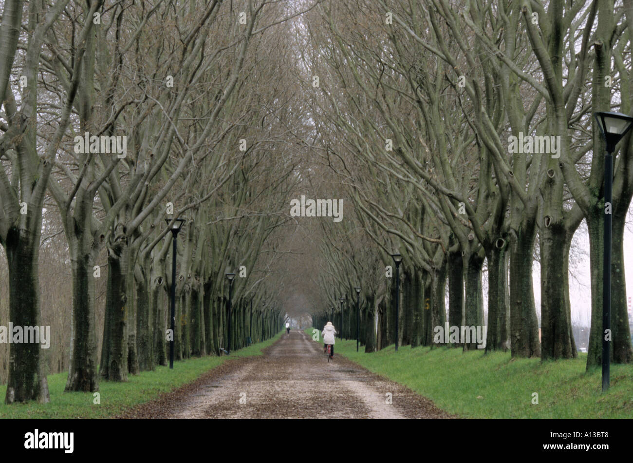 Die Allee über die Stadtmauern von Ferrara, Italien Stockfoto