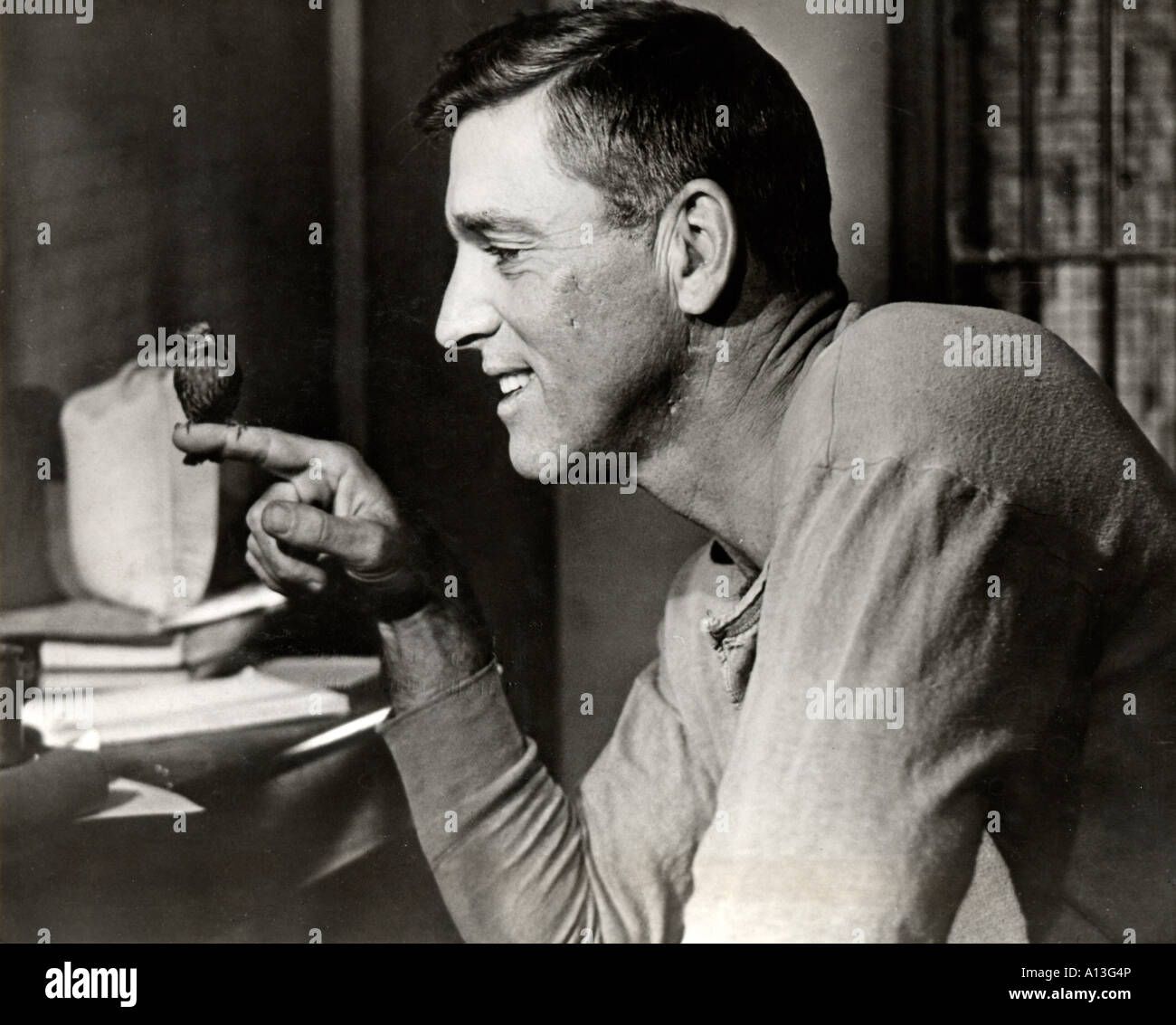 Vogelmann von Alcatraz Jahr 1962 Direktor John Frankenheimer Burt Lancaster Stockfoto