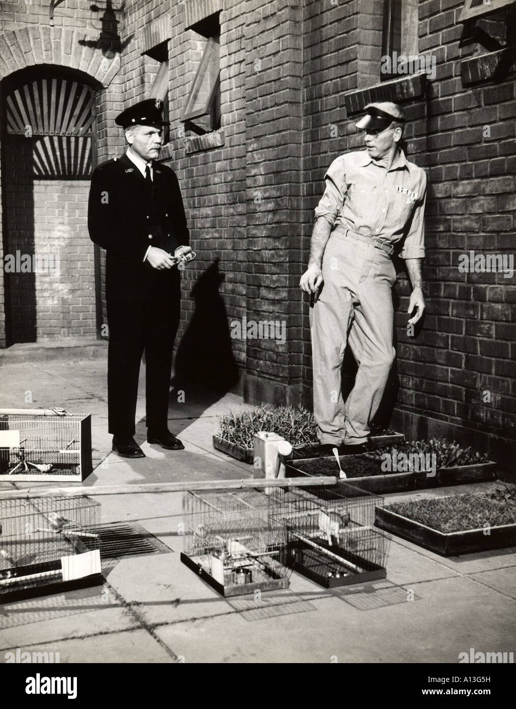 Vogelmann von Alcatraz Jahr 1962 Direktor John Frankenheimer Burt Lancaster Stockfoto