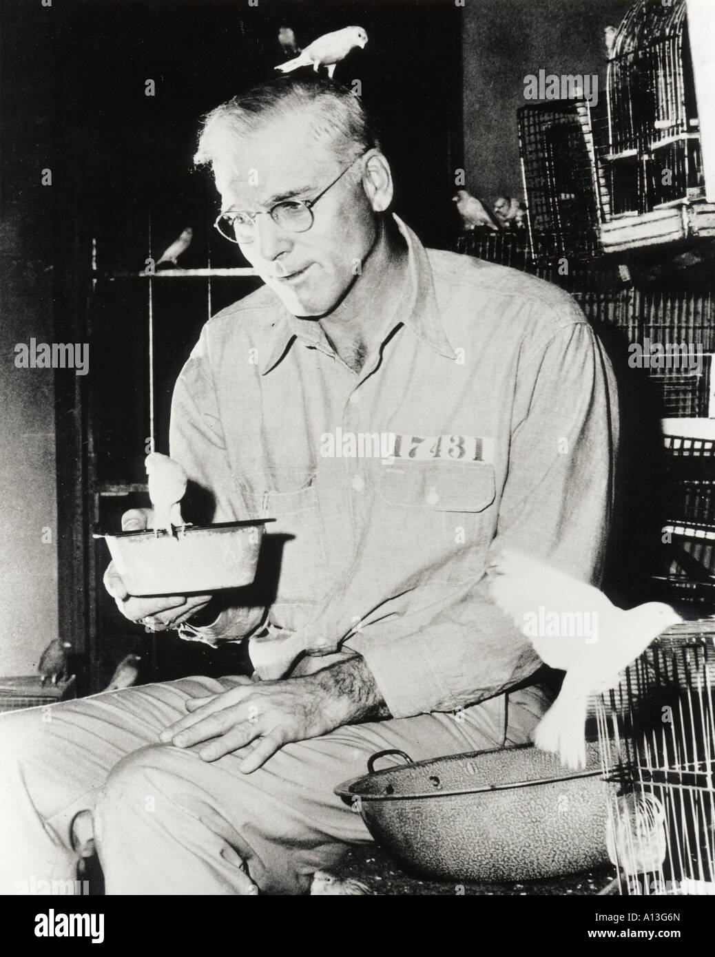 Vogelmann von Alcatraz Jahr 1962 Direktor John Frankenheimer Burt Lancaster Stockfoto