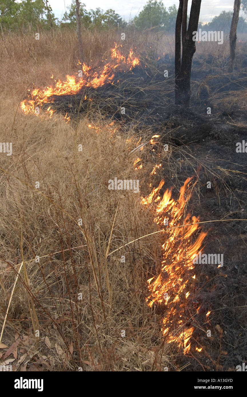 Grass-Feuer in Kakadu National Park Northern Territory Australien Stockfoto