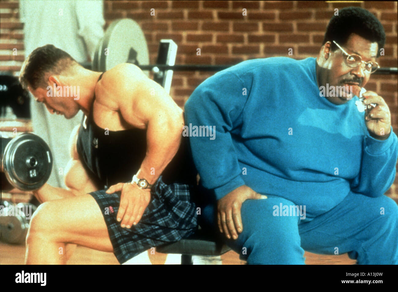 Der verrückte Professor Jahr 1995 Direktor Tom Shadyac Eddie Murphy Stockfoto