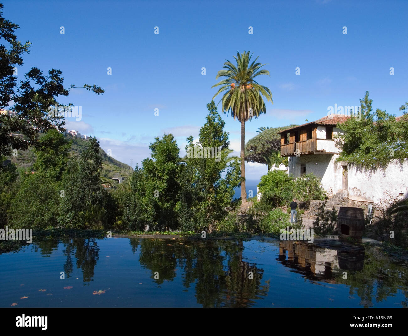 Icod de Los Vinos Teneriffa Dragon Tree park und Gärten Drachenbaum das Haus der Inquisition Stockfoto