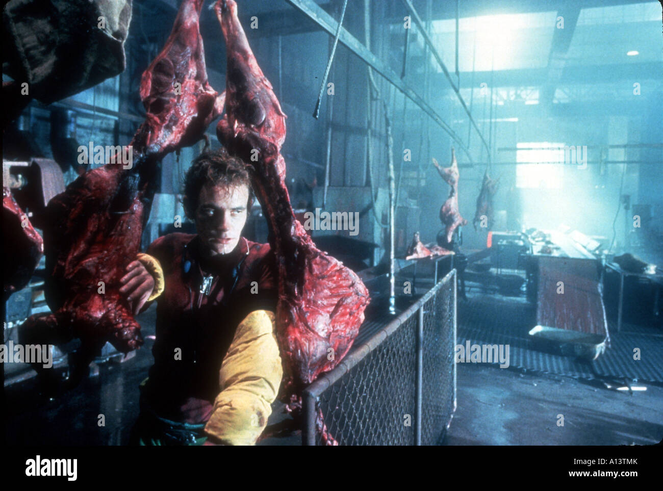 Razorback Jahr 1984 Regisseur Russell Mulcahy Stockfoto