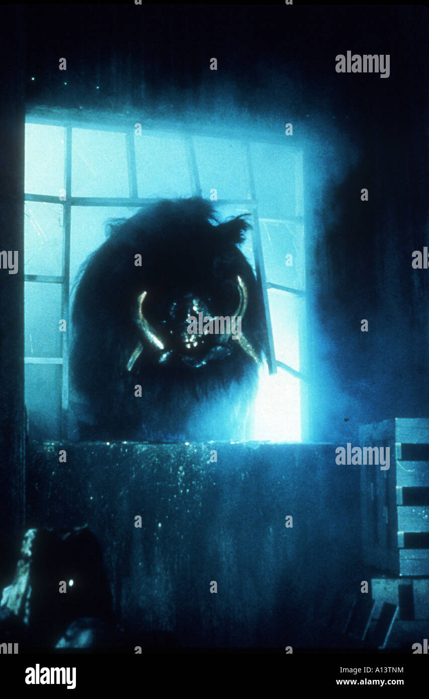 Razorback Jahr 1984 Regisseur Russell Mulcahy Stockfoto