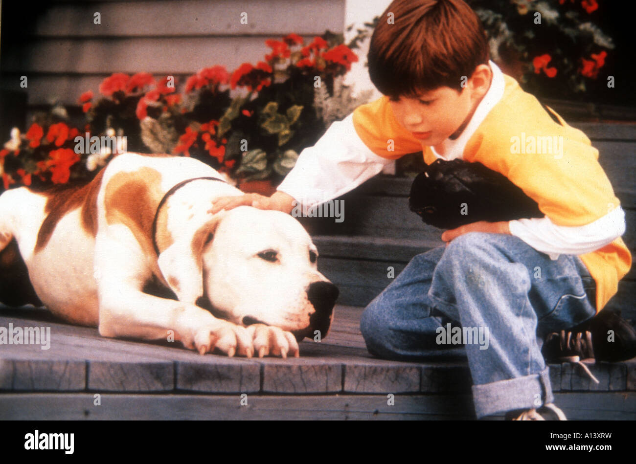 Homeward Bound II verlor in San Francisco Jahr 1996 Direktor David R Ellis Stockfoto