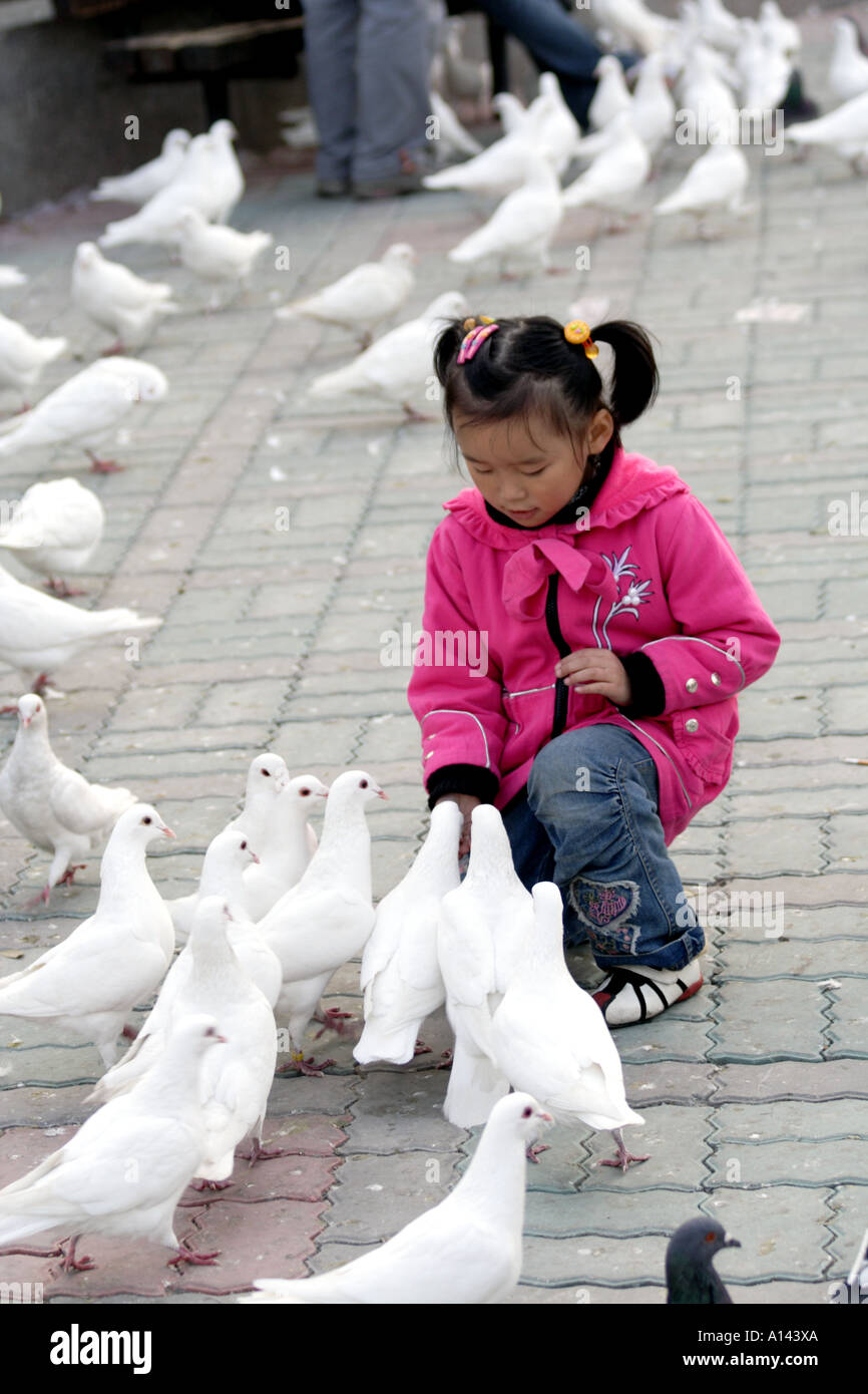 Chinesisches Mädchen füttert Tauben in Renmin Park, Renmin Square, Shanghai, China Stockfoto