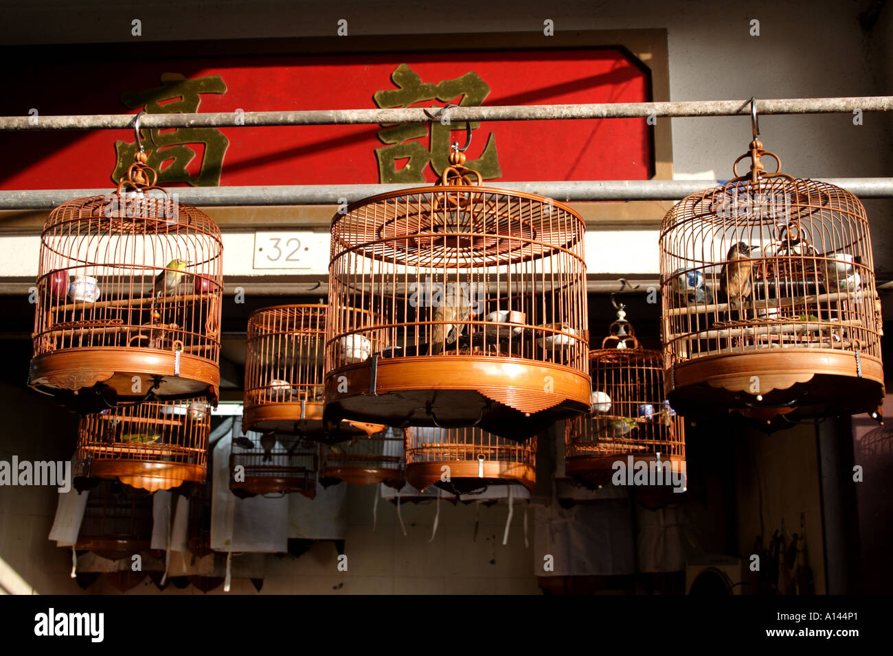 Vögel in Käfigen an der Hong Kong Vogelmarkt (Yuen Po) Stockfoto