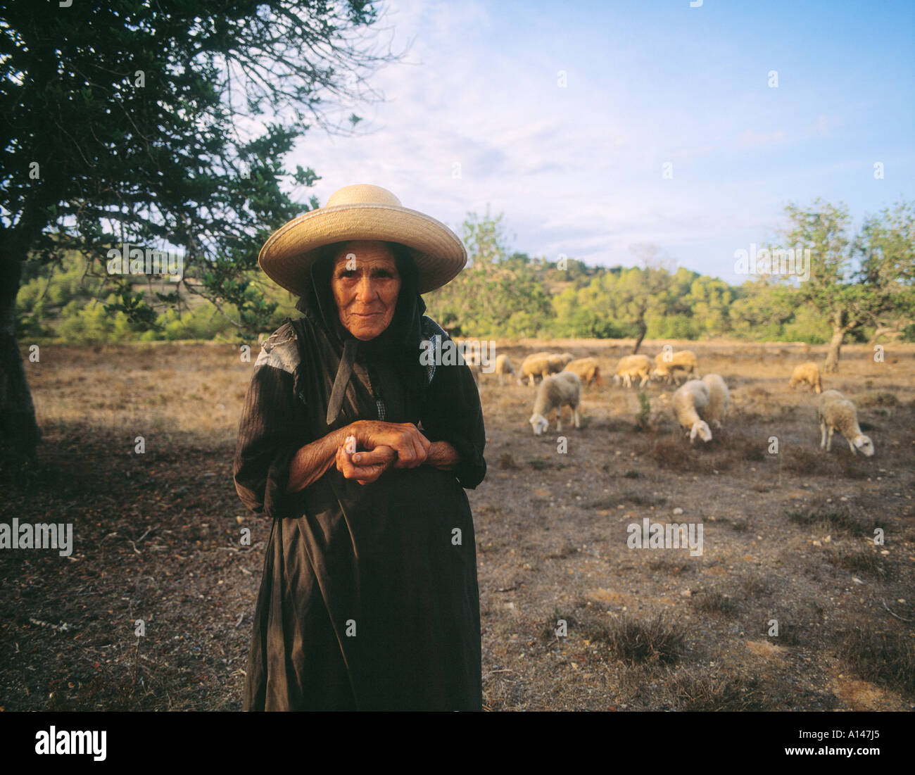 Ibiza Balearen Spanien alte Bäuerin mit Schafherde Stockfoto