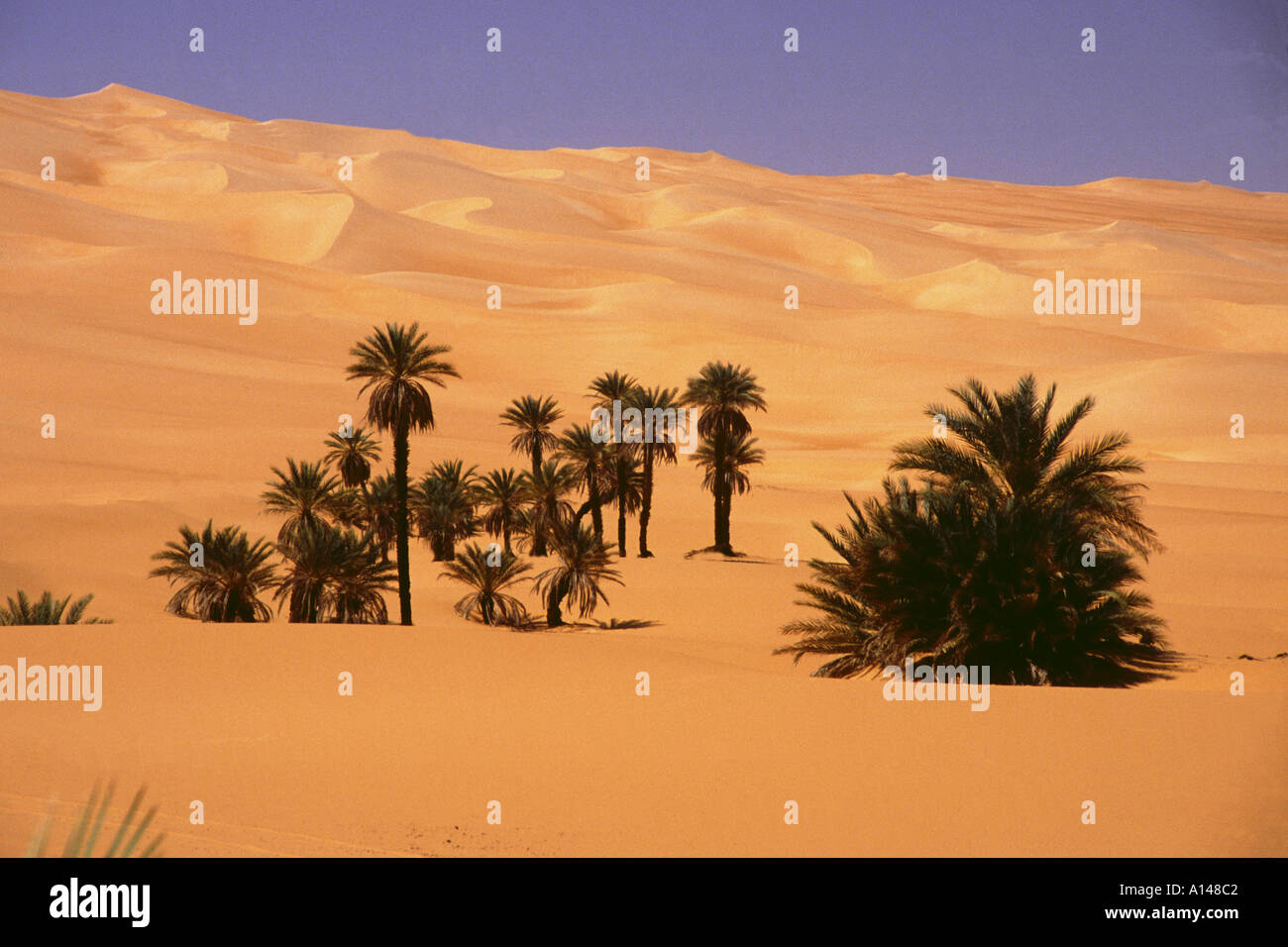 Libyen-Wüsten-Oase der Gabroon Sahara sand Stockfoto Libyen-Wüsten-Oase der Gabroon Sahara sand Stockfoto