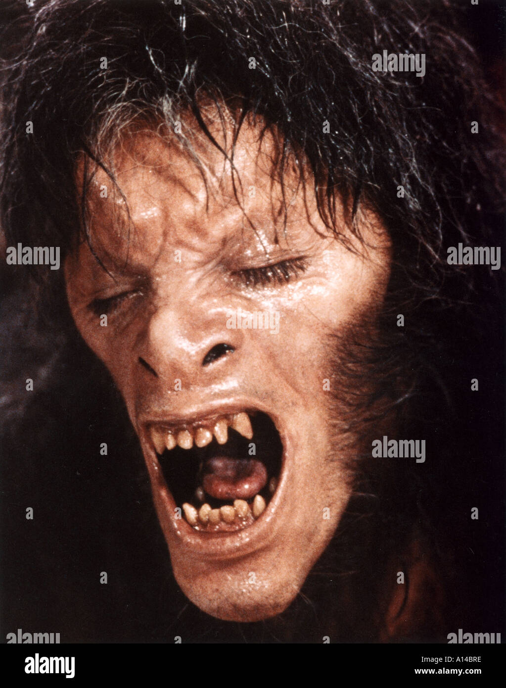 AMERICAN WEREWOLF IN LONDON Stockfoto