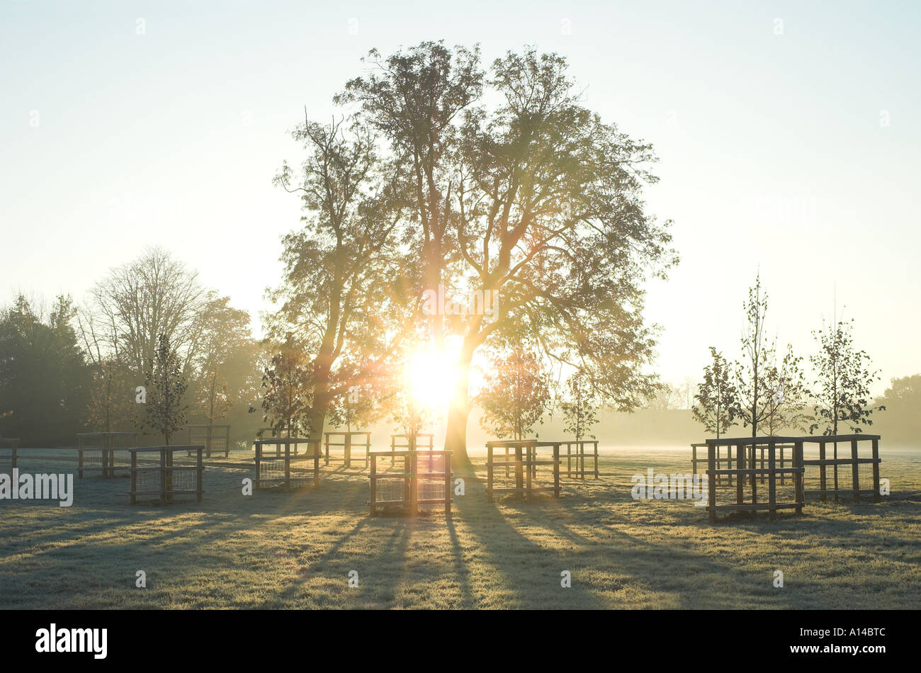 Dawn Peckham Rye Stockfoto