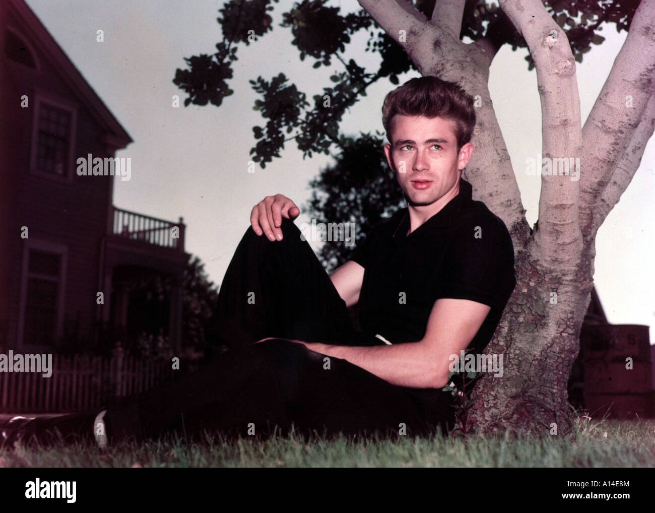 Ostlich Von Eden 1955 James Dekan Stockfotos Und Bilder Kaufen Alamy