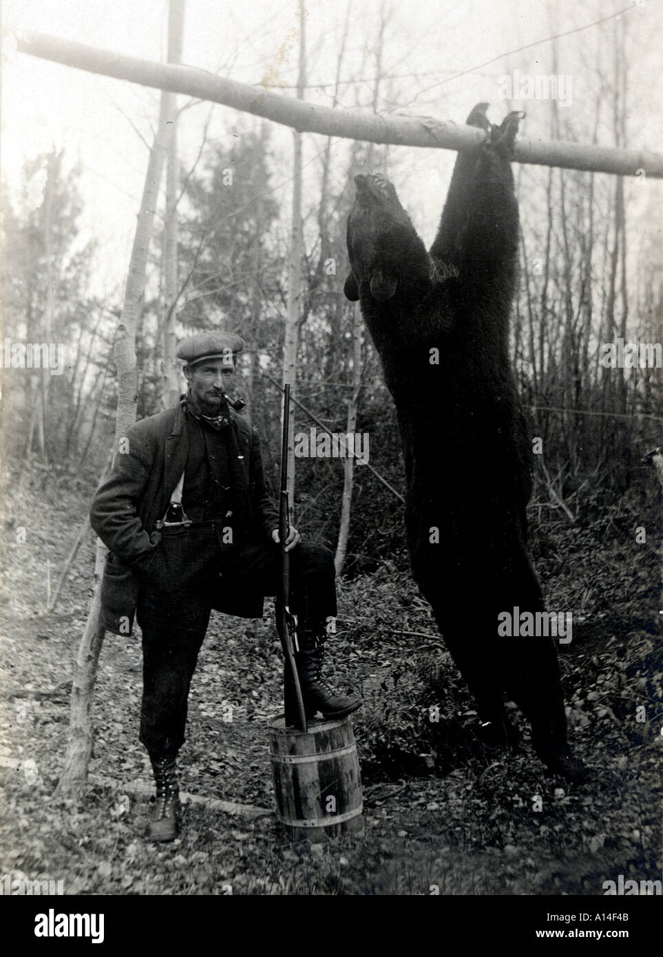 Jäger mit schwarzer Bär Stockfoto