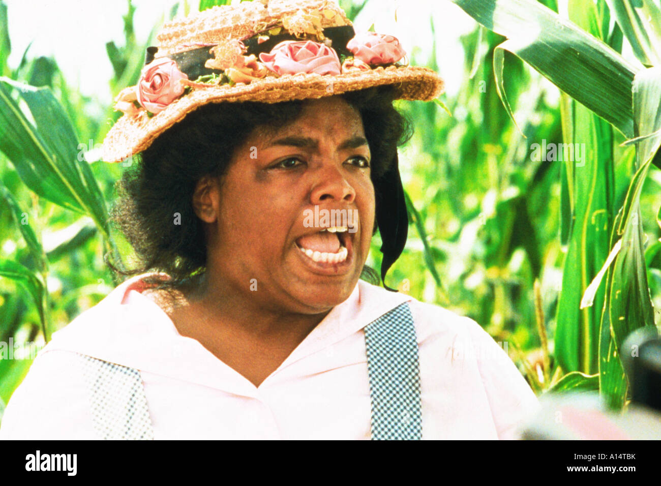 Die Farbe Lila 1986 Steven Spielberg Oprah Winfrey Stockfotografie Alamy
