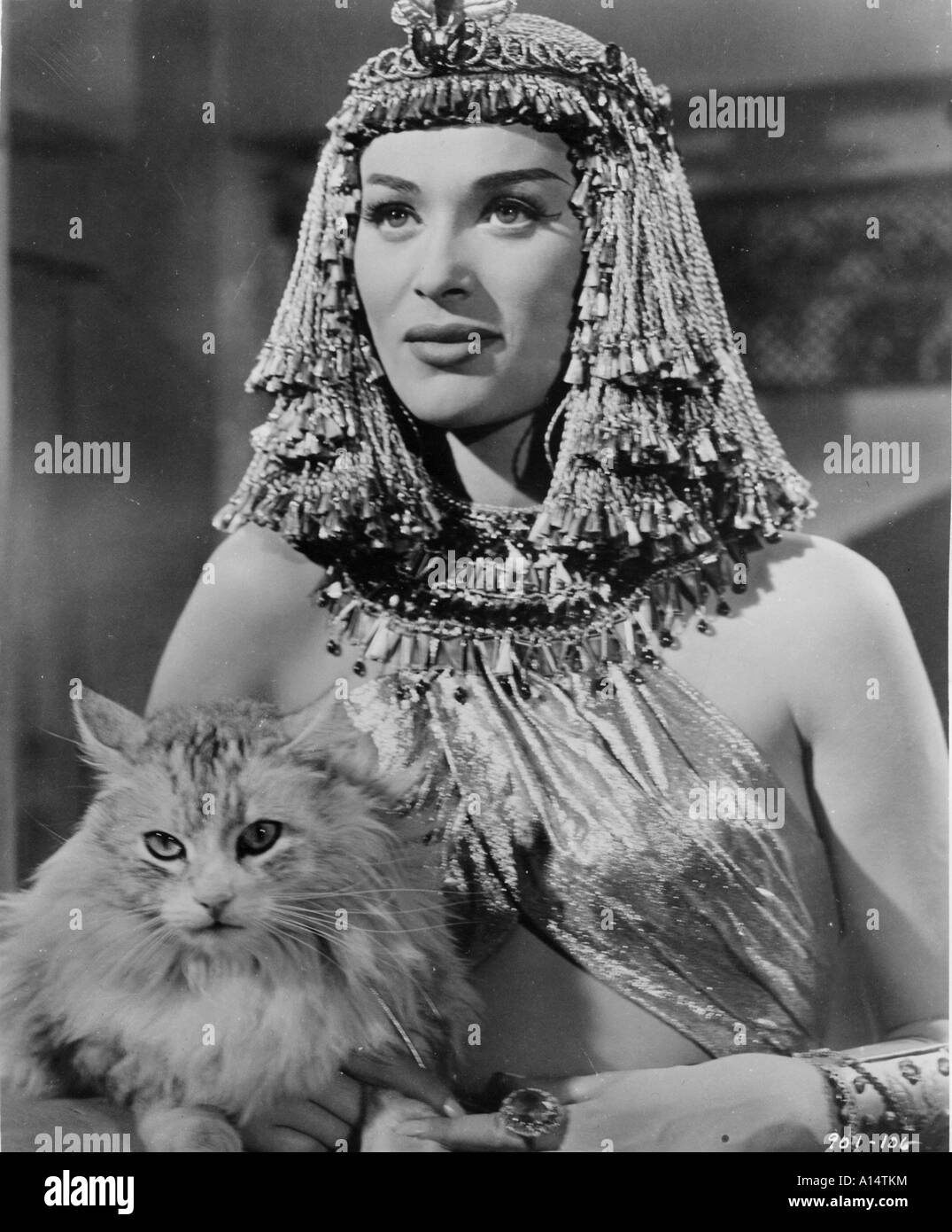 Die ägyptischen 1954 Michael Curtiz Bella Darvi Stockfoto