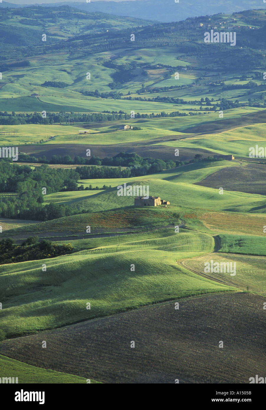 Eine hügelige Landschaft in der Nähe von Pienza Toskana Italien Stockfoto