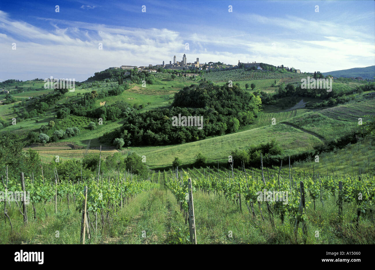 San Gimignano Toskana Italien Stockfoto