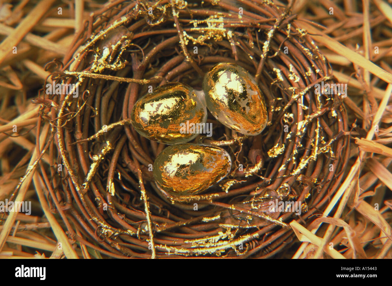 Nahaufnahme von drei goldenen Eiern sitzen in einem Vogelnest Stockfoto