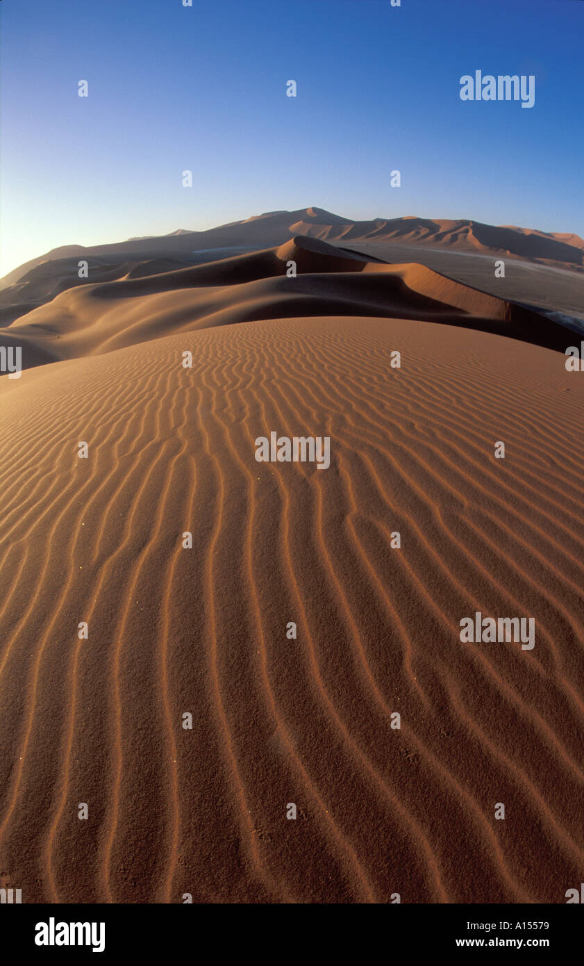 Sand-Dünen Namib Wüste Namibia Stockfoto