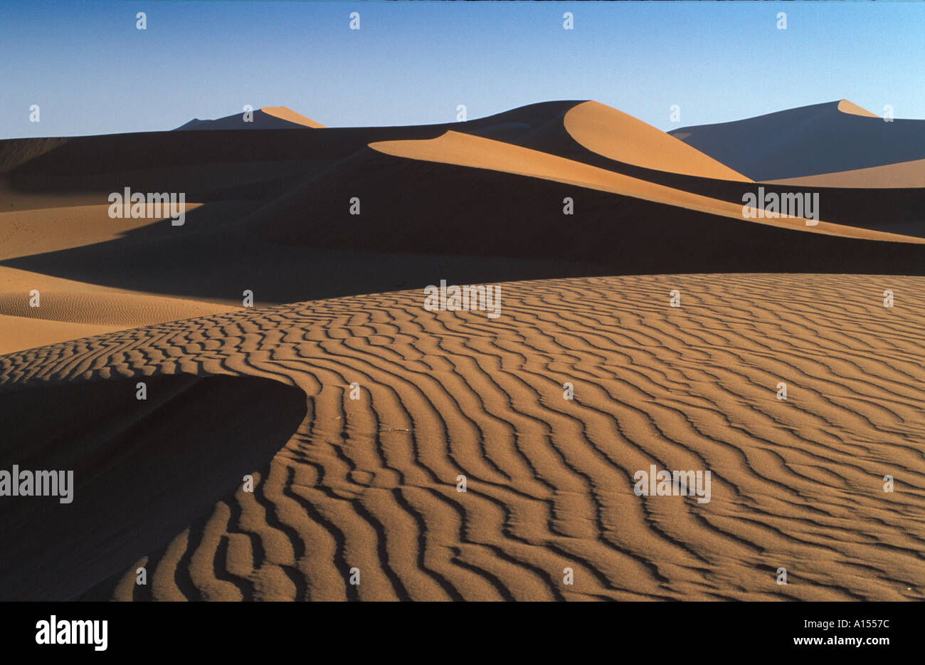 Sanddünen nr Sossusvlei Namib Wüste Namibia Stockfoto