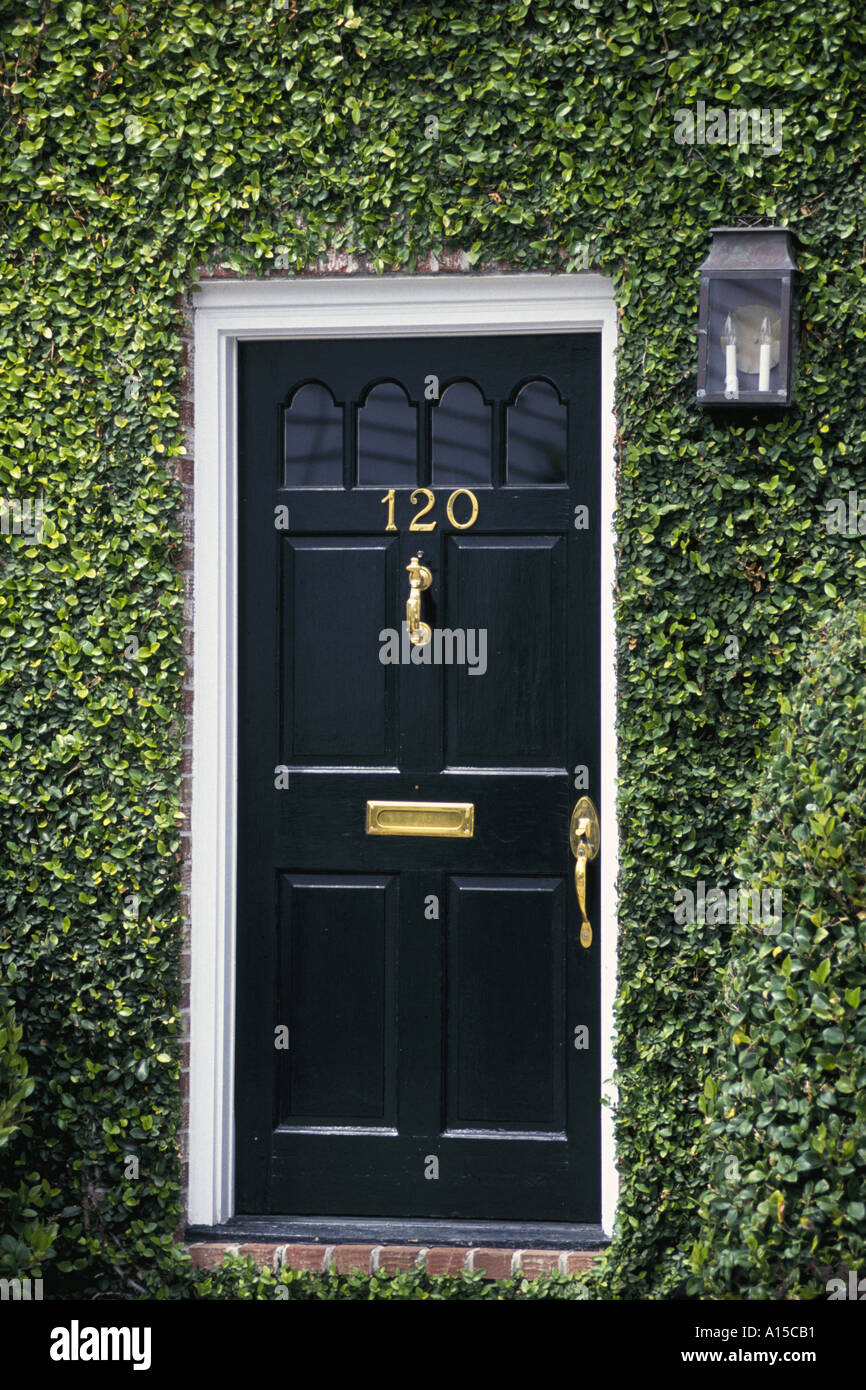 Schwarze Tür mit Messing-Accessoires mit Efeu bedeckt Fassade des frühen amerikanischen Reihenhaus Charleston South Carolina USA Stockfoto