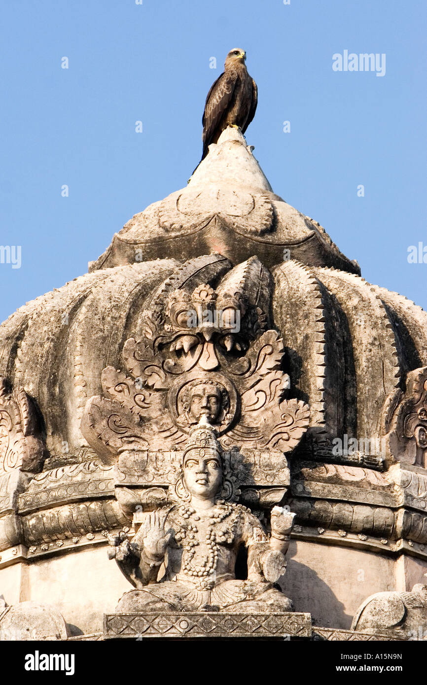 Kite sitzen auf Hindutempel Kuppel, Lepakshi, Andhra Pradesh, Indien Stockfoto