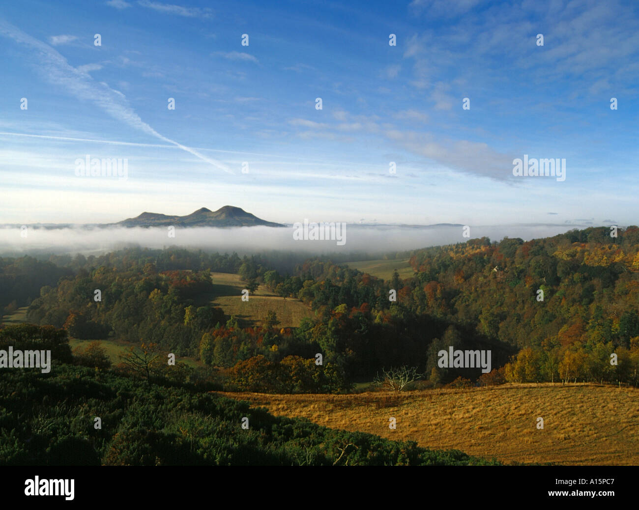 dh Scotts View EILDON HILLS GRENZT an Felder Bäume nebeliges Tal Und Hügel schottland Morgen Tau Landschaft großbritannien Herbst Nebel dramatisch schottische Grenze Stockfoto