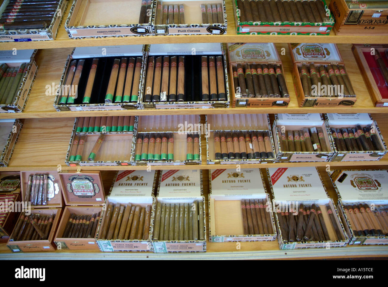 Beliebte Florida Touristenziel in Ybor City Tampa FL Stadt bekannt für Hand gemacht Zigarren aus Tabak importiert weltweit Stockfoto