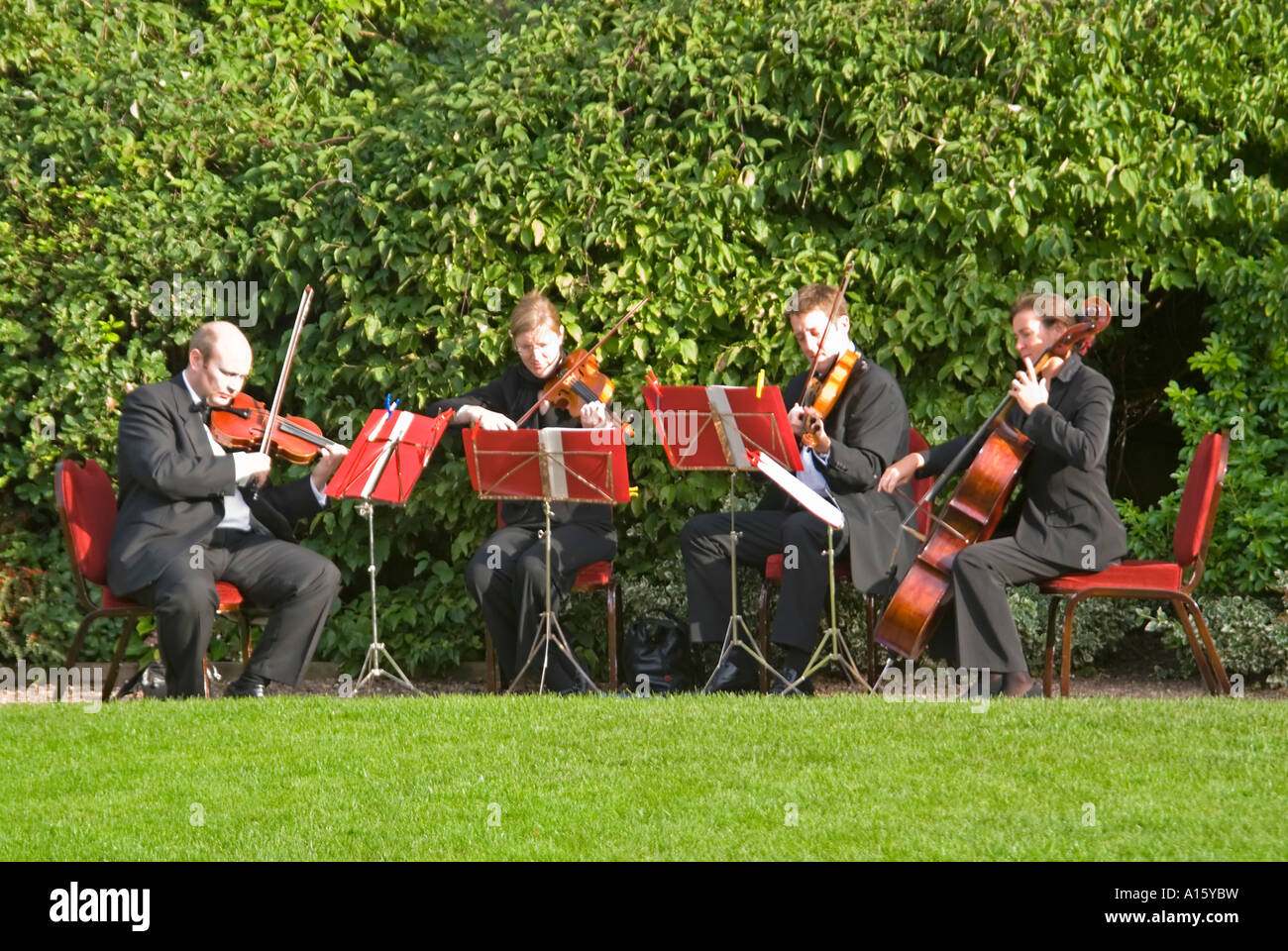 Horizontale Sicht auf ein professionelles Streichquartett unterhaltsame Gäste draußen in einem Garten. Stockfoto