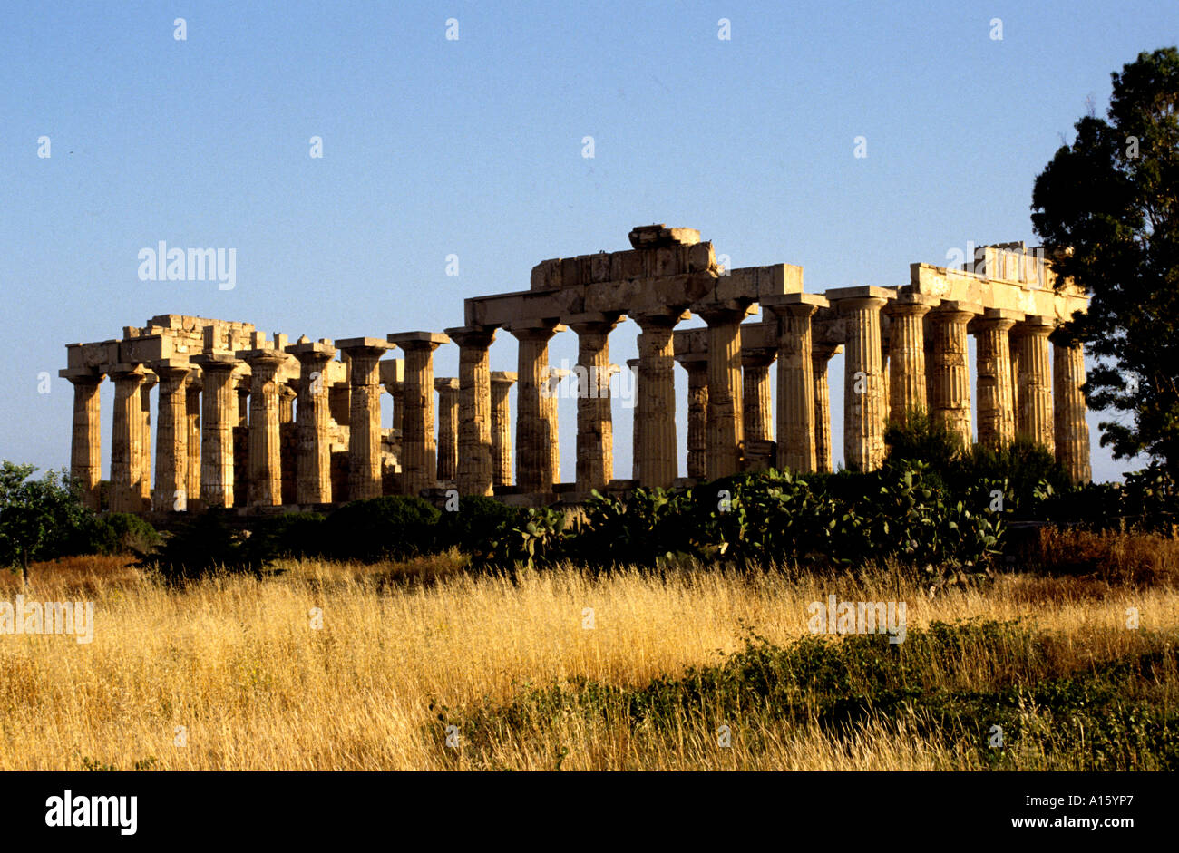 Dorischer Tempel von Concordia, 440-430 v. Chr., Valle dei Templi, Agrigent, Sizilien, Italien, einer der am besten erhaltenen griechischen Tempel, Tempel der Herakles, Stockfoto