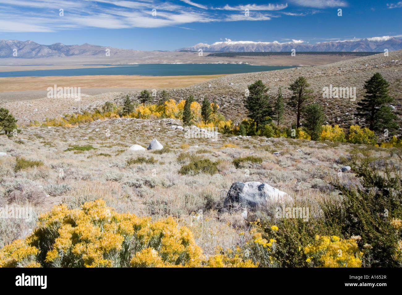 Digitale Abbildung des Herbst Laub und weißen Berge rund um Crowley See in den östlichen Bergen der Sierra Nevada Stockfoto