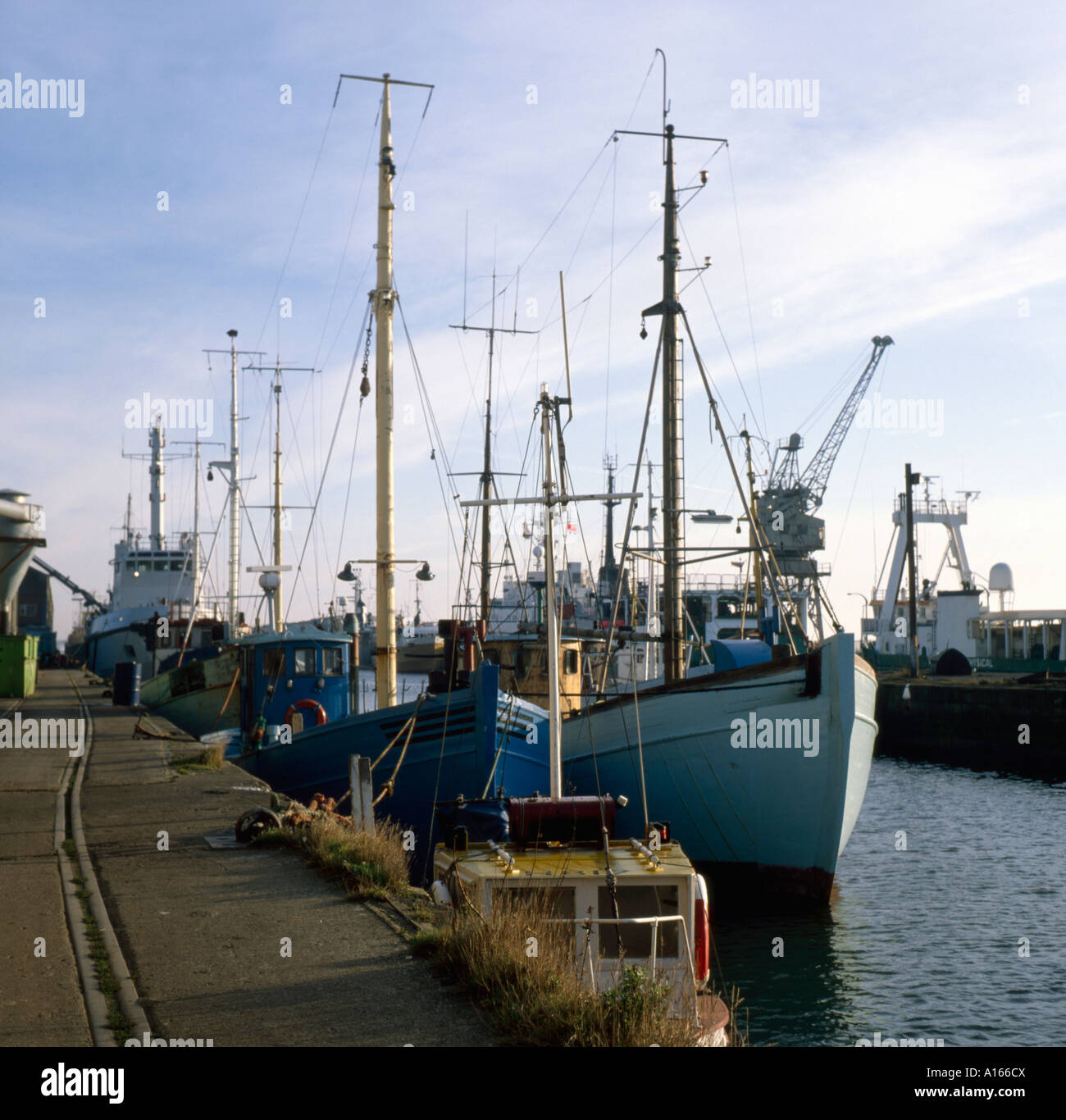 Angelboote/Fischerboote an einem Hafen Hull Humberside UK Stockfoto