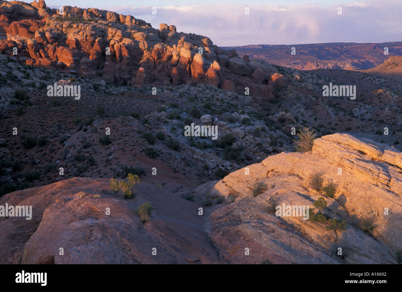 Arches Nationalpark UT Wacholder Salbei Pinsel. Entrada und Navajo-Formationen in der Wüste von Utah. Feuerofen Sicht. Stockfoto
