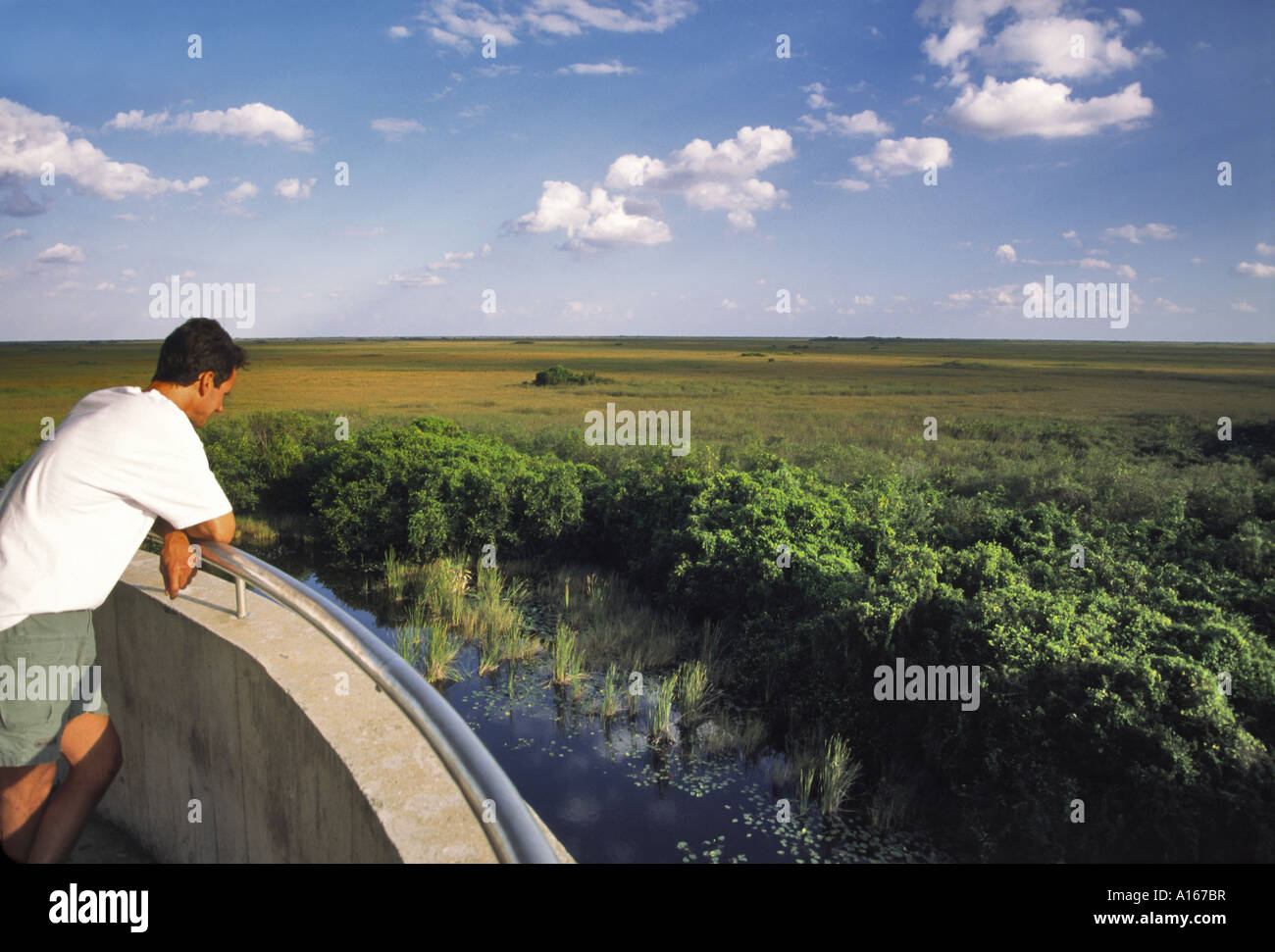 Shark Valley Beobachtung Turm, Hai Fluß Slough, Everglades Nat Park, Florida, USA Stockfoto