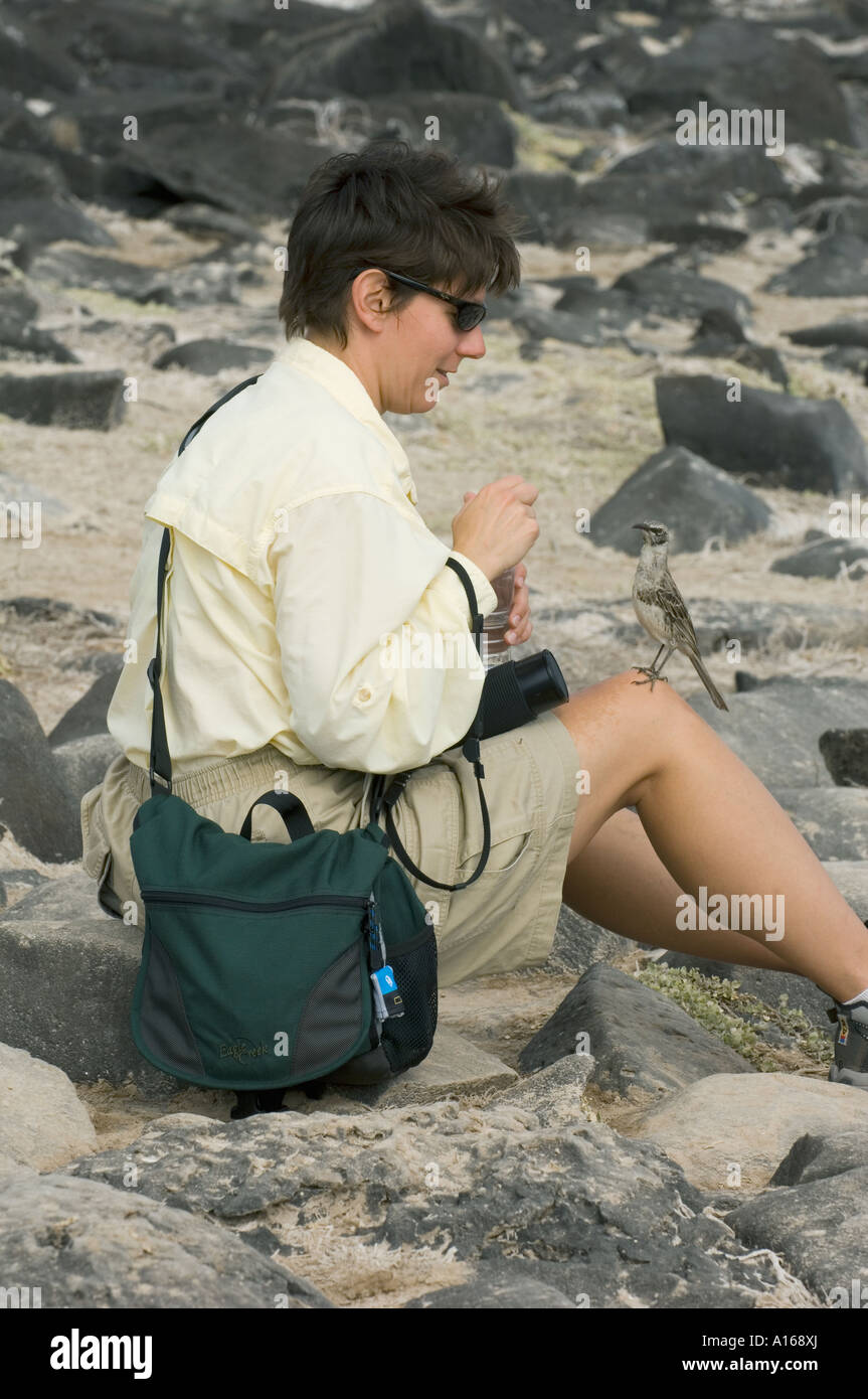 Frau Tourist mit zahmen Hood Spottdrossel, Haube (Espanola) Insel-Galapagos-Inseln, Ecuador Stockfoto