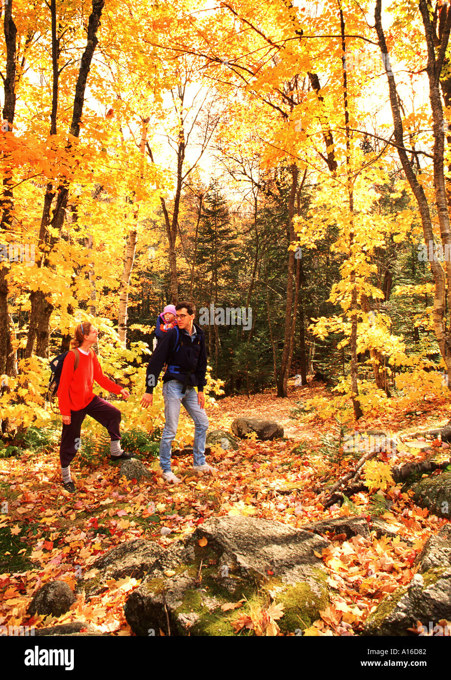 Junge Familie mit Baby Wandern durch Wälder im Herbst Stockfoto