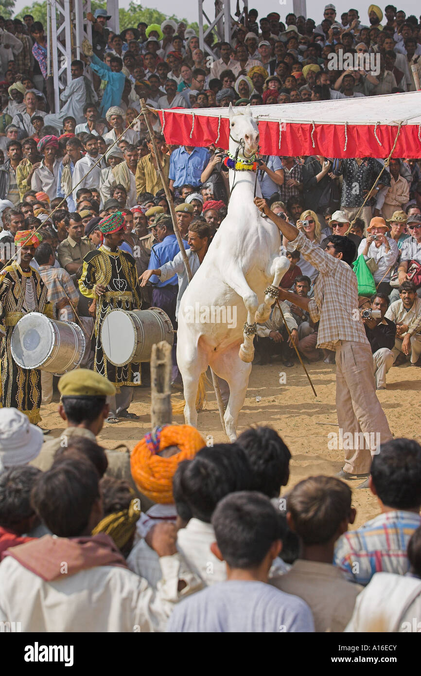 Pferd tanzen bei Puskar Kamel Messe 2006 - Indien Stockfoto