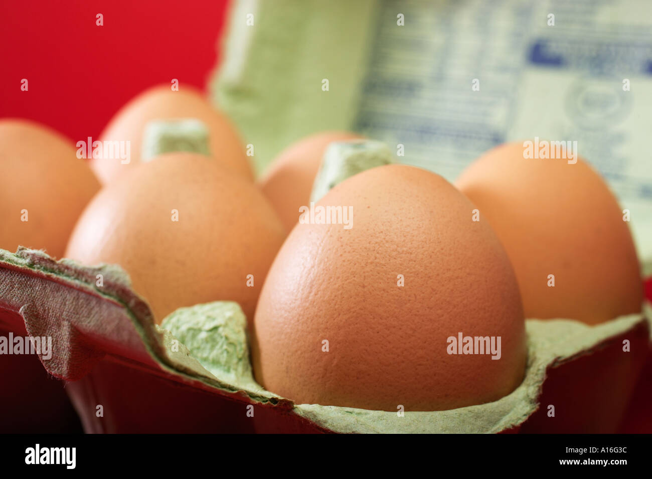 Eiern in eine eggbox Stockfoto