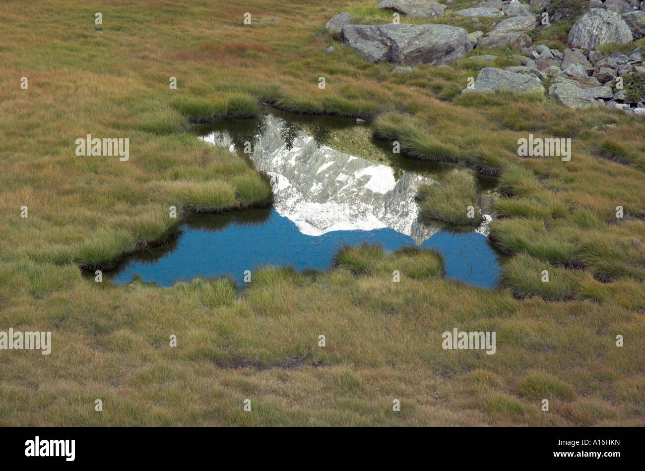 Die Aiguille de Miex spiegelt sich in einem kleinen Teich in Val Veni in den italienischen Alpen Stockfoto