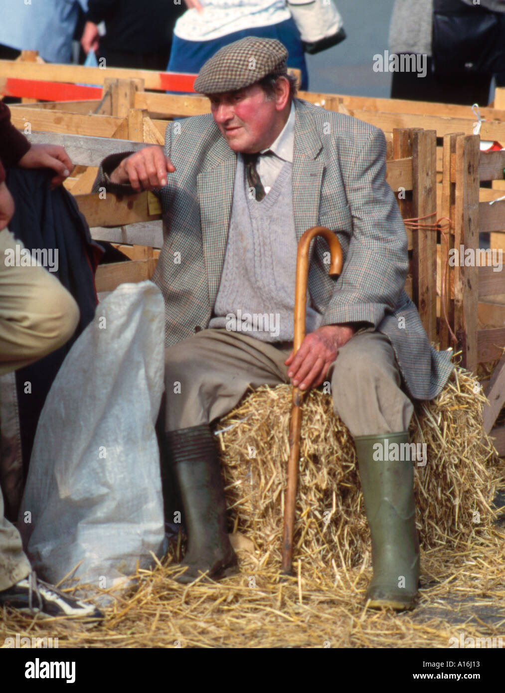 Alte Bauern Gespräche an einen Freund von beschossen Masham Schafe Fair, Yorkshire Dales, England, UK Stockfoto