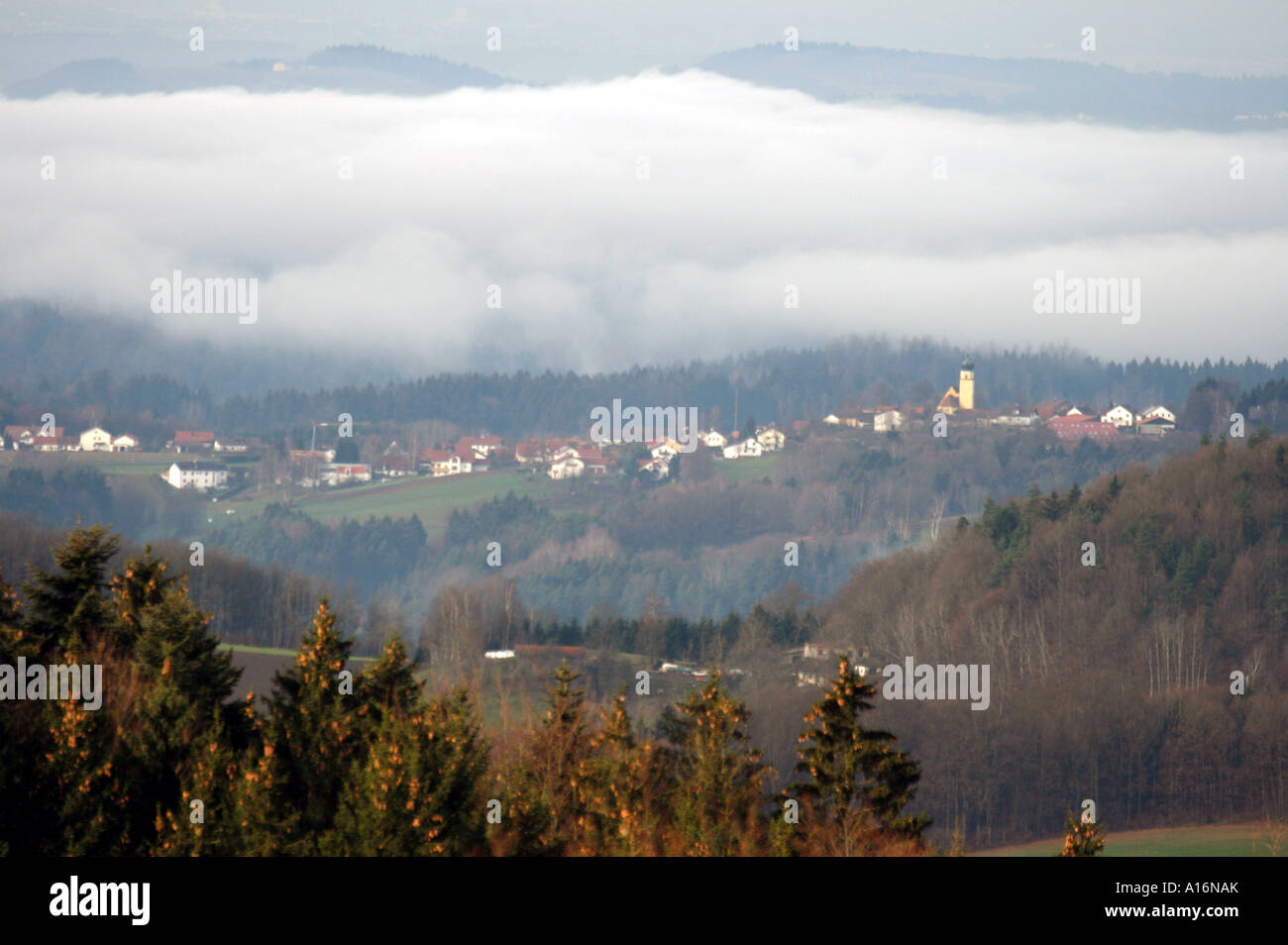 Dorf Berg in der Nähe von Deggendorf, an einem nebligen Tag im Herbst, Bayerischer Wald, Bayern, Deutschland. Foto: Willy Matheisl Stockfoto