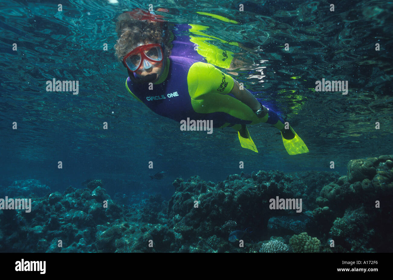 Babs Jackson Schnorcheln Sanganeb Reef sudanesischen roten Meer Thema war 51 Jahre alt zum Zeitpunkt Stockfoto