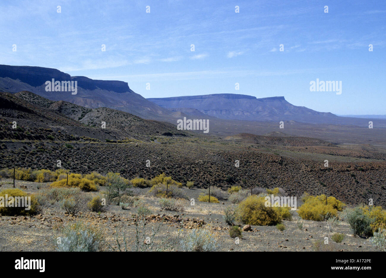 Südafrika Karoo Wüste Nordafrikas Schafe Bauernhof Lager Stockfoto