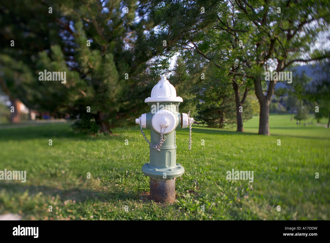 Hydranten in Vorort von Boulder, Colorado Stockfoto