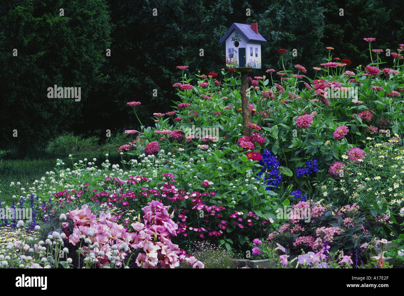 Einzigartige handbemalte birdbox als malerisches kleines Haus in einem blühenden Garten in Pastelltönen mit passenden Rosa Blau steht, und weiße Blumen, Missouri, USA Stockfoto
