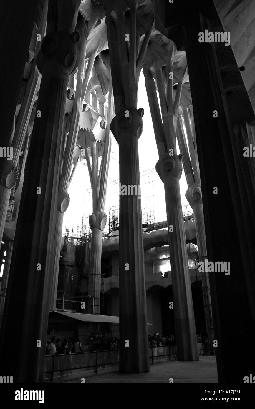 La Sagrada Familia, Antoni Gaudi, Barcelona, Spanien. Stockfoto